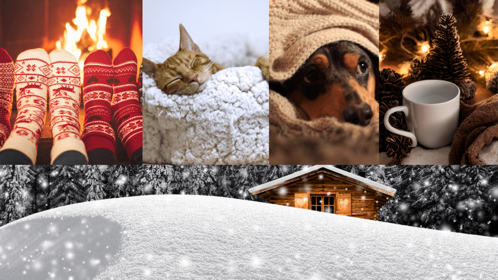 Cozy medley of images such as feet warming by the fire, cat curled up in a blanket, dog curled up in a blanket, a mug surrounded by white lights and a pine cone, and a snow bank in front of a log cabin in the woods