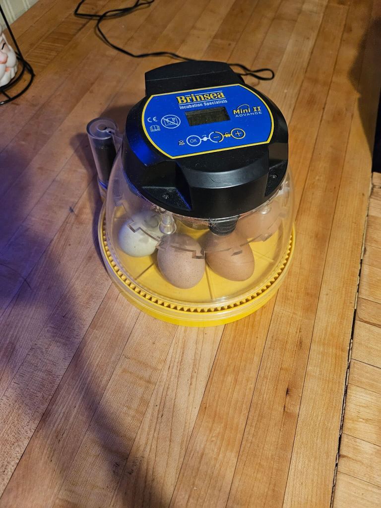 The chicken egg incubator sitting on a wood floor