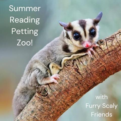 Sugar glider on a branch with event information