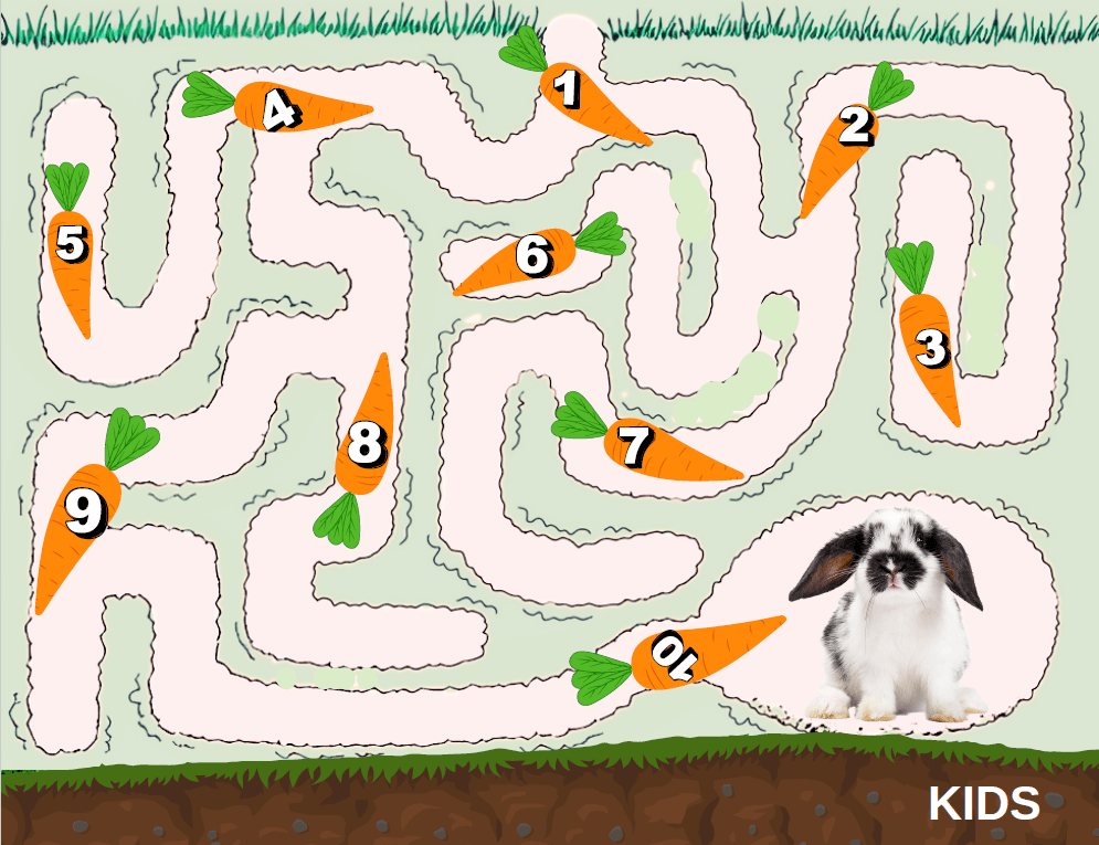 This is a maze with numbered carrots along the dirt path, ending at a bunny.